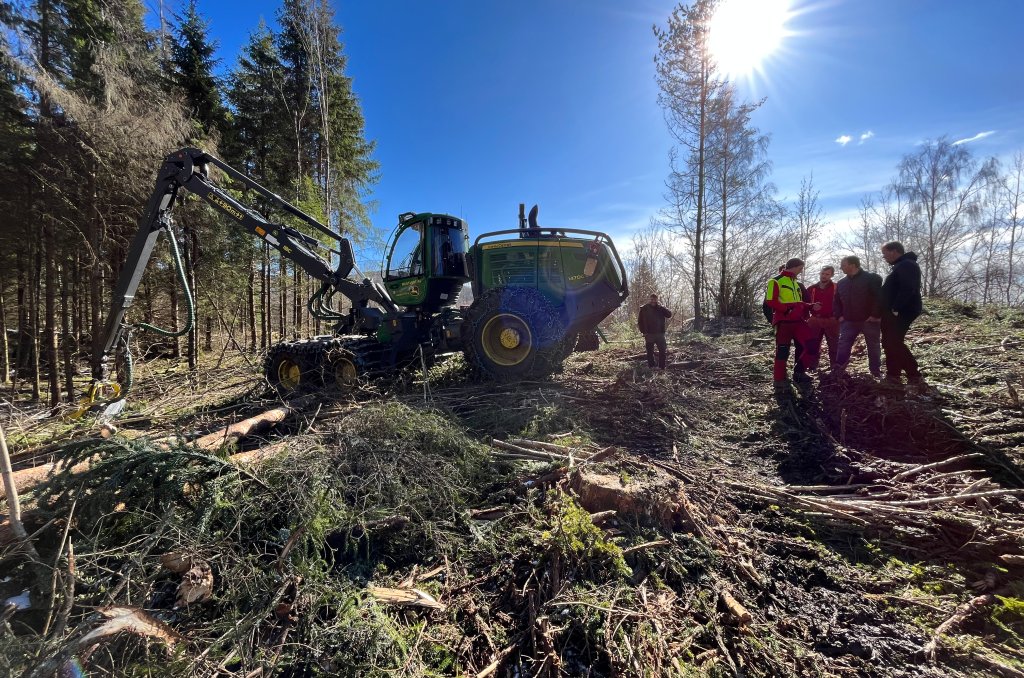 Bildet viser hogst i en skog Bildet viser hogst i en skog