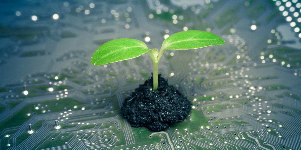 tree growing on a computer circuit board / green it / green computing / csr / it ethics