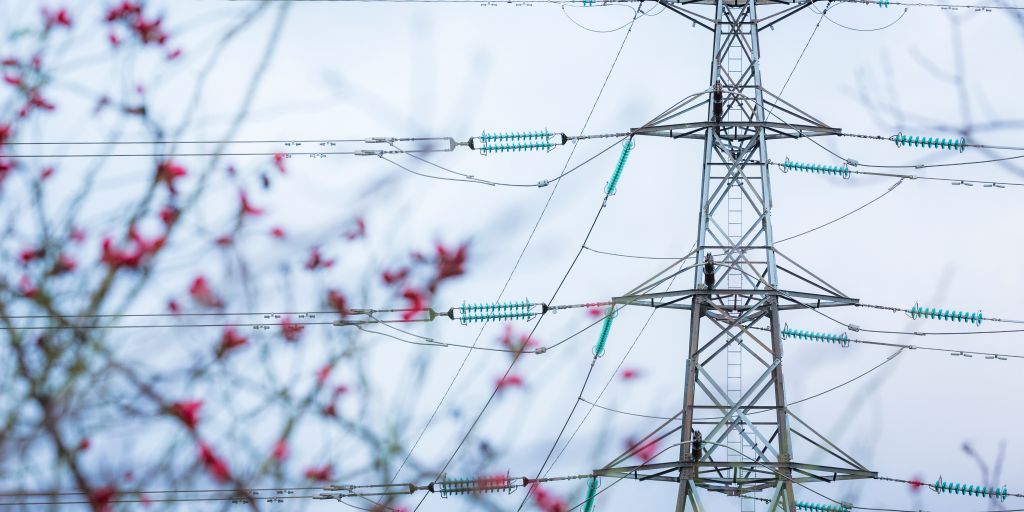 Teamutvikling og produktledelse avgjørende i stor transformasjon for Svenska Kraftnät