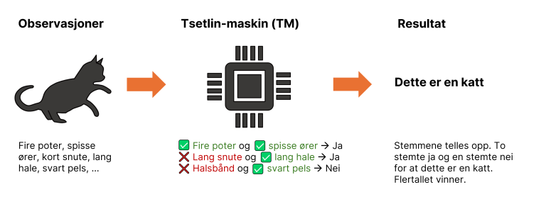 Figuren viser hvordan Tsetlin-maskiner tolker input, ser etter mønstre, holder en stemmegivingsprosess og avgir et svar – slik som at «dette er en katt» i et tradisjonelt klassifiseringsproblem.