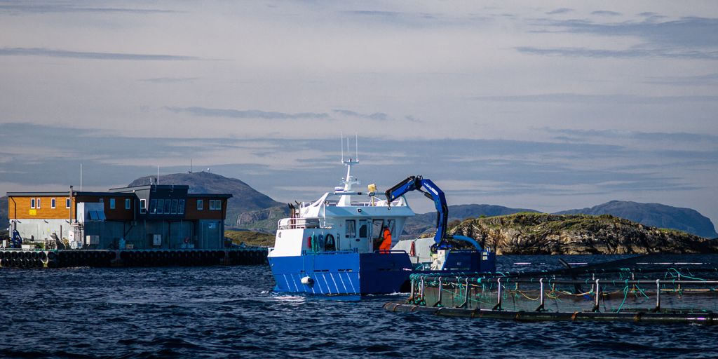 Bærekraft i havbruk